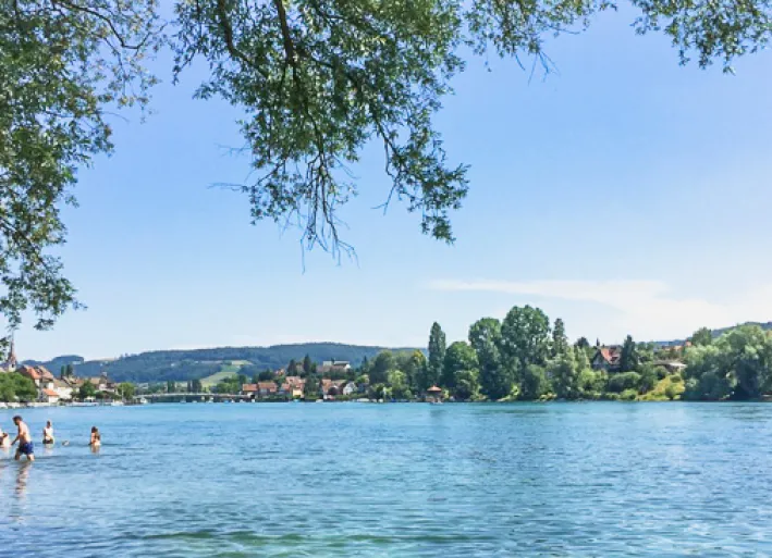 Abkühlung im Rhein
