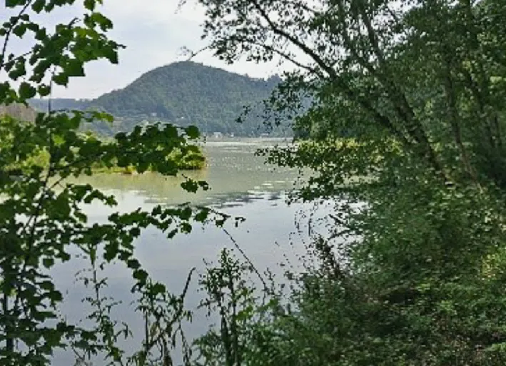 Wachau