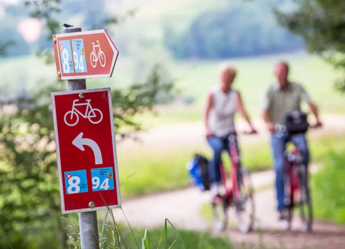 Wegweiser Aare-Radweg