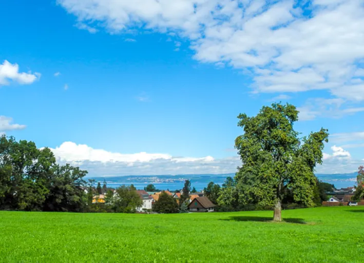 Blick auf den Bodensee