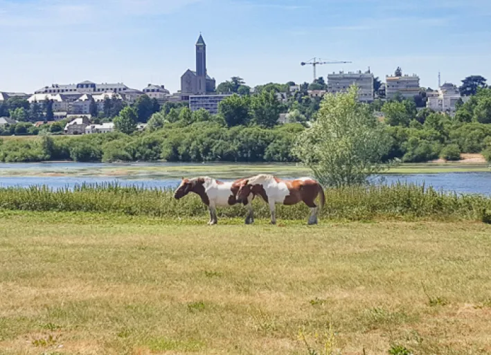 Blois wird erreicht