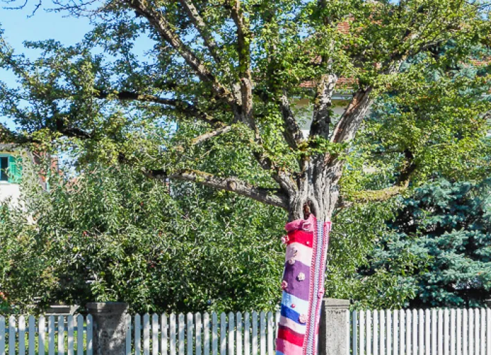 Umstrickter Baum