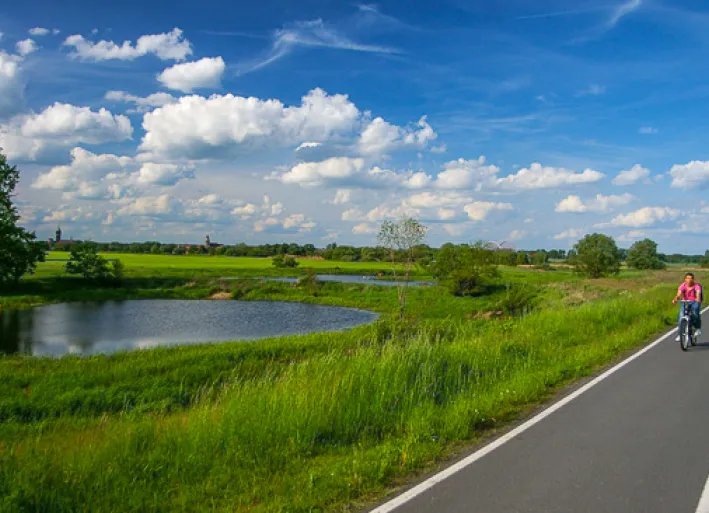 Elbe-Radweg, Radfahrer bei Coswig