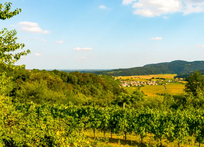 weite Felder im Umland