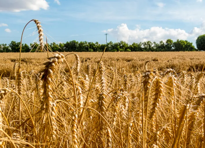 Loire-Radweg, Reisezeit