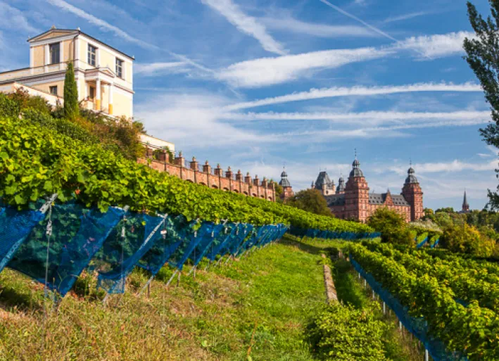 Landschaft bei Aschaffenburg, Main-Radweg