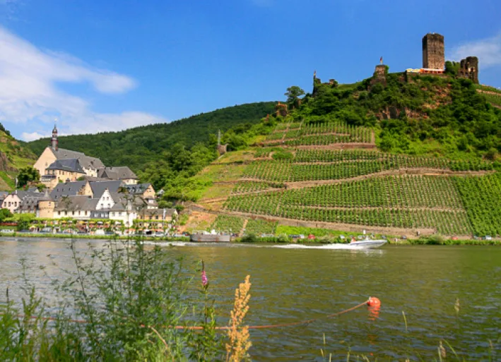 Weinhänge, Mosel-Radweg