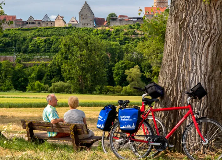 Neckar-Radweg, Bad Wimpfen