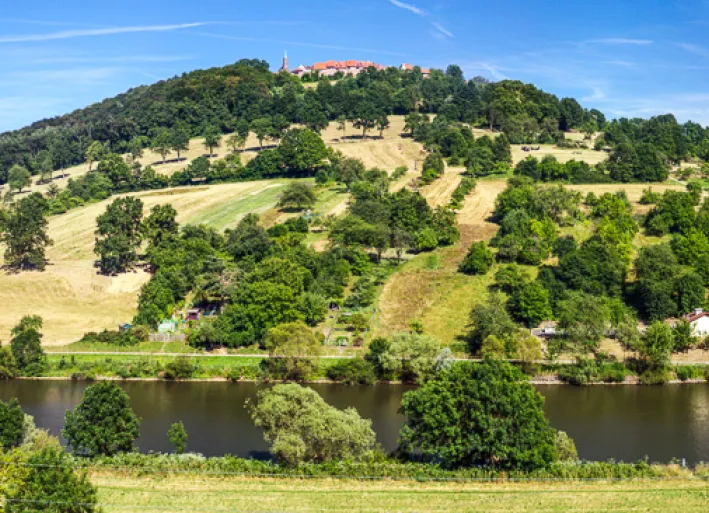 Neckar-Radweg_Dilsberg