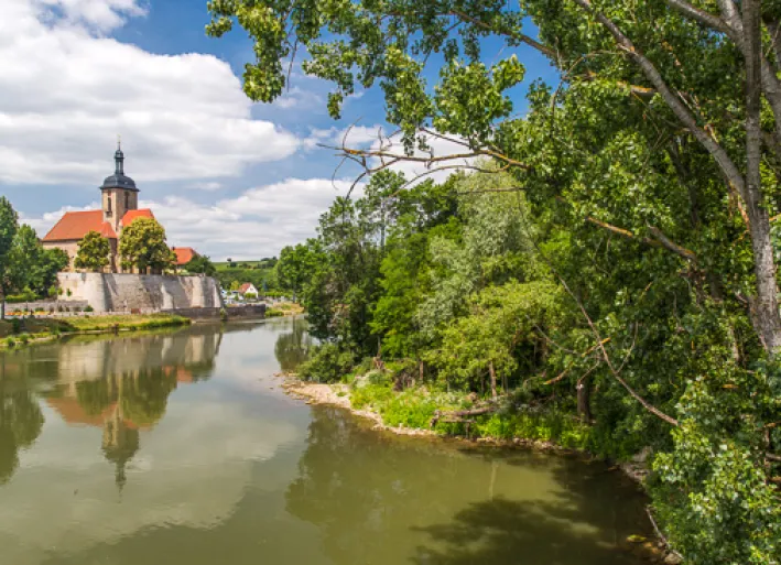 Neckar-Radweg, Lauffen