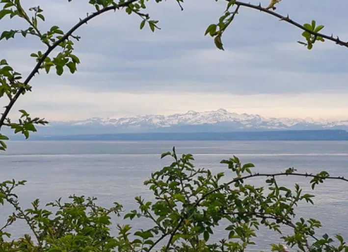 Obersee mit Alpstein