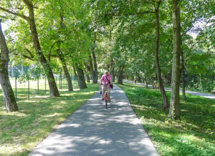 Rund um den Bodensee