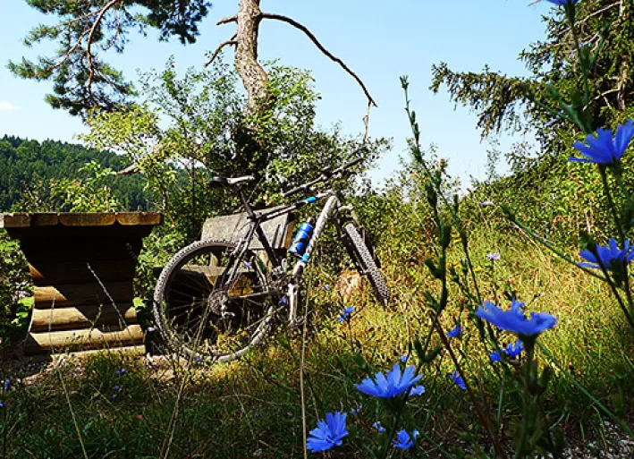 Radpause im Naturpark Altmühltal