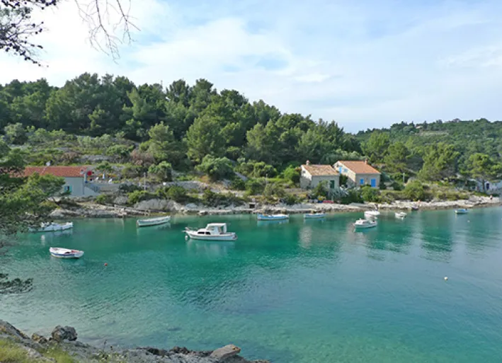 Ausblick auf der Insel Losinj
