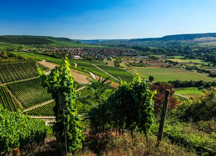 Retzbach, Main-Radweg