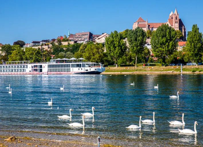 Rebgarten in Breisach, Rhein-Radweg