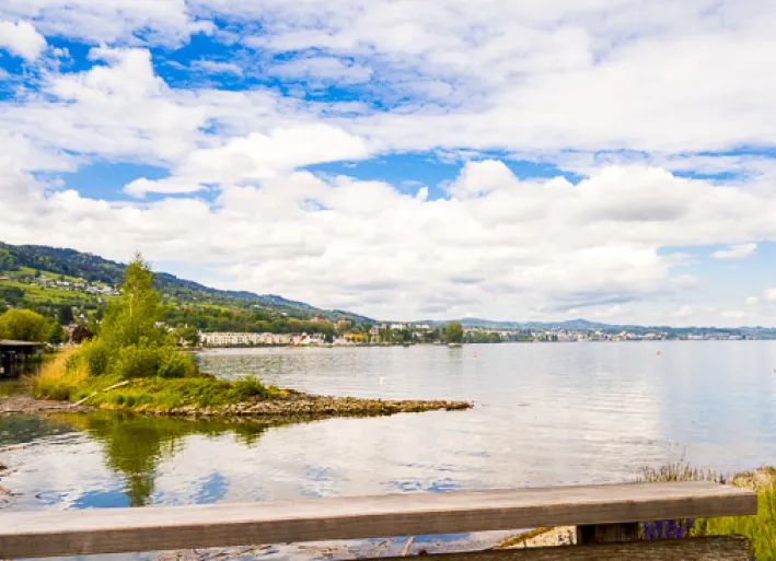 Das Naturschutzgebiet der Rheinmündung in den Bodensee