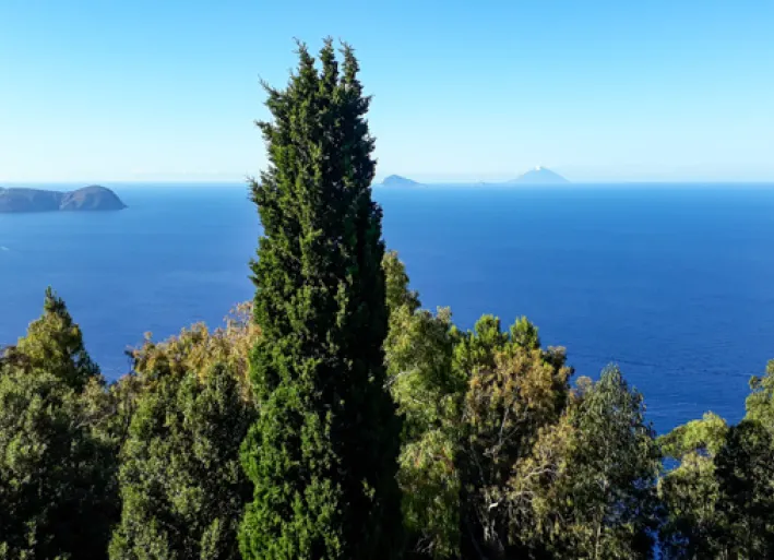 Blick auf das Meer