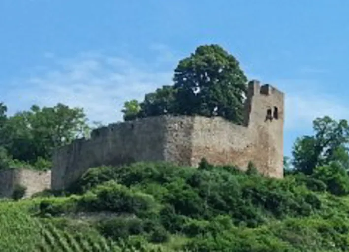 Ettenheim nach Freiburg