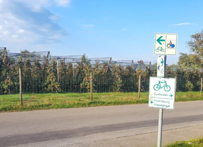 Die Apfelplantagen