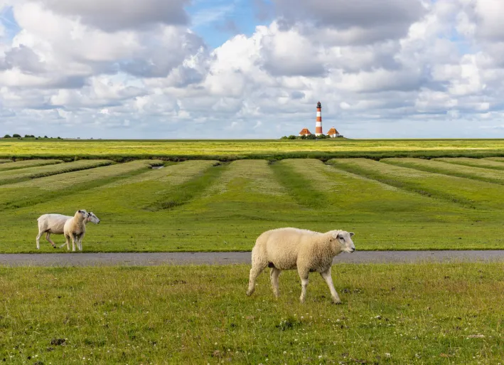Nordsee Radweg, Westerheversand Leuchtturm