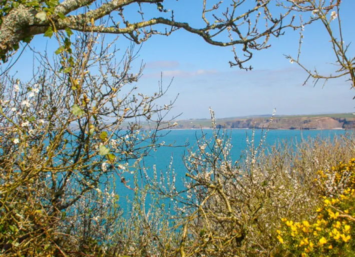 Die wildromantische Landschaft