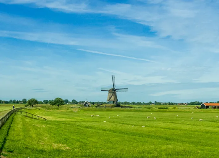 Windmühle