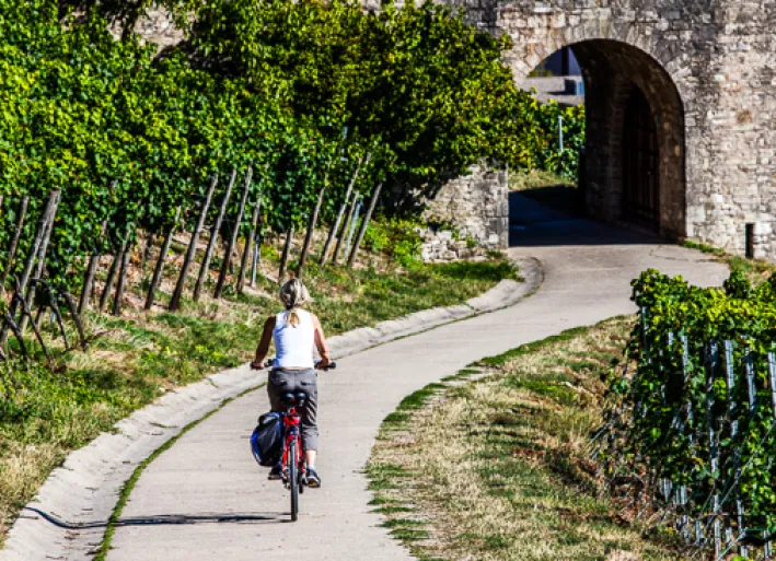 Würzburg, Main-Radweg