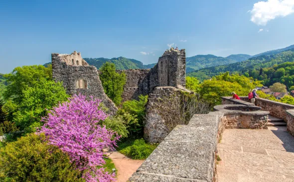 Burg Baden, Badenweiler, Ruine