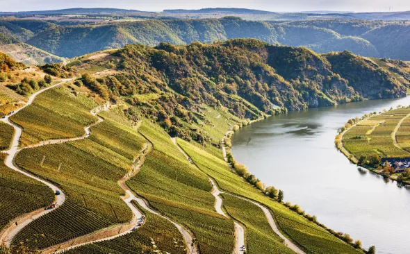 Das Mosel-Ufer nahe Piesport