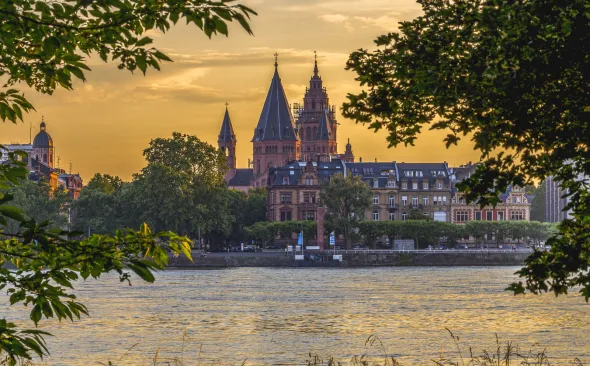 Mainzer Dom