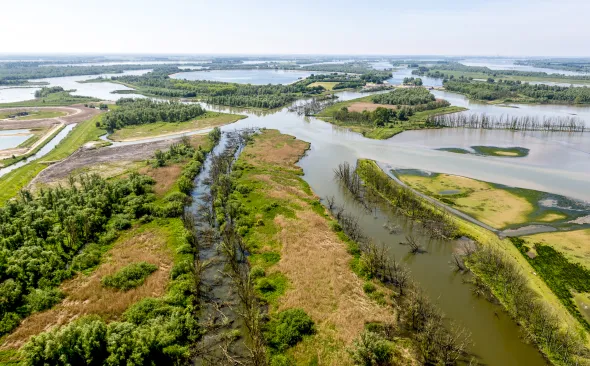 Nationalpark de Biesbosch