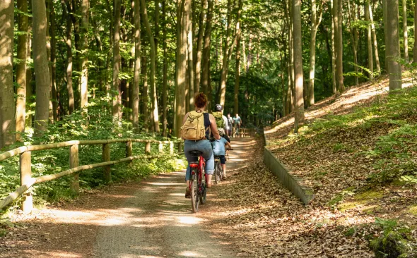 Radfahrer, Wald, Usedom