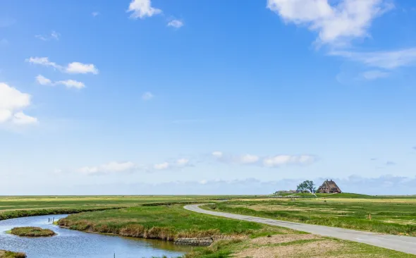 Hallig Hooge