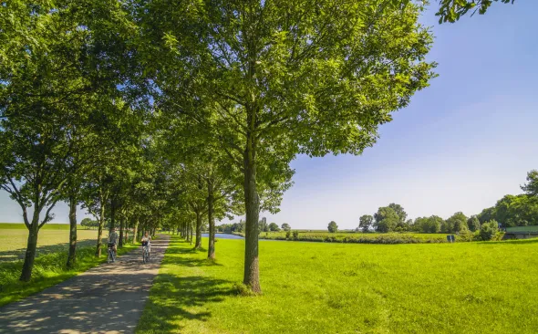 Radweg bei Varel