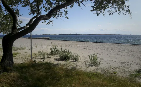 Strand von Fåborg
