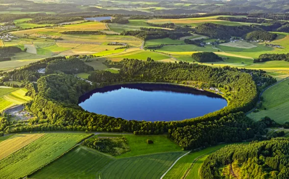 Vulkaneifel, Daun