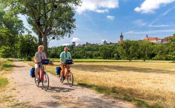 Auf den Weg zum Neckar