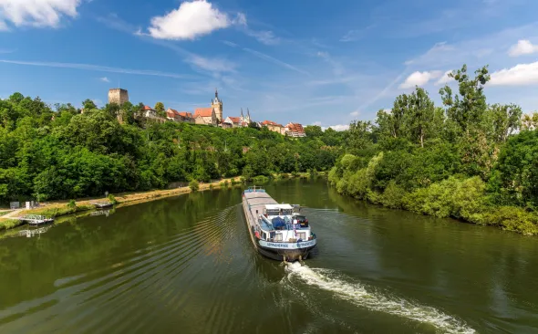 Der Neckar bei Bad Wimpfen
