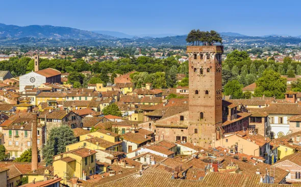 Torre Guinigi in Lucca