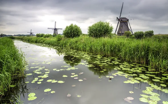 Windmühlen bei Kinderdijk