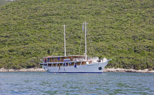 MS Kažimir