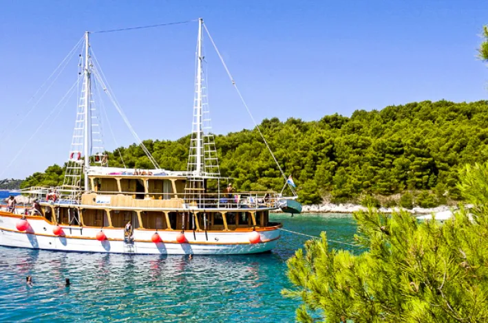 MS Dalmatino