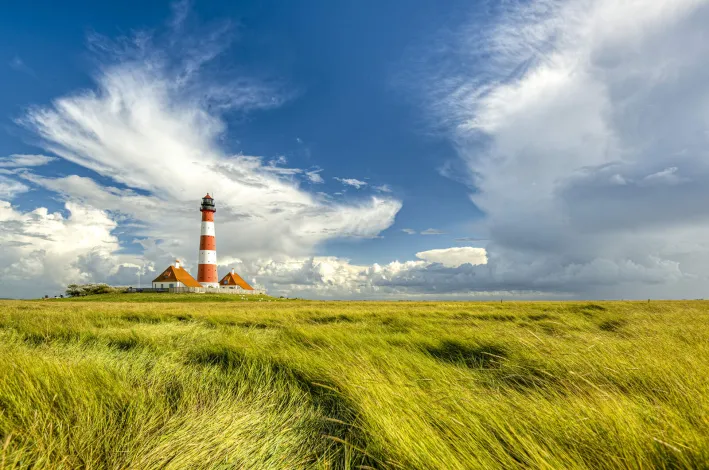 Radreisen an der Nordsee