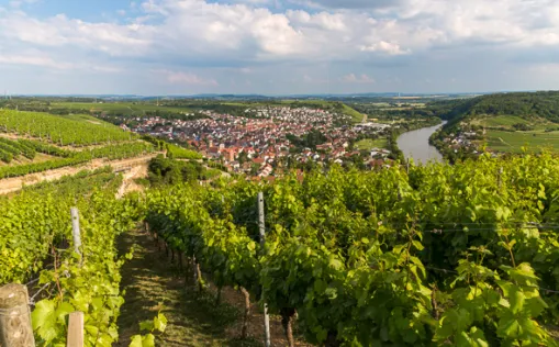 Der Neckar-Radweg - Bestseller