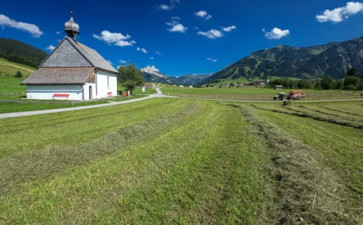 Radreisen in Tirol
