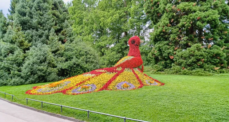 Blumeninsel Mainau