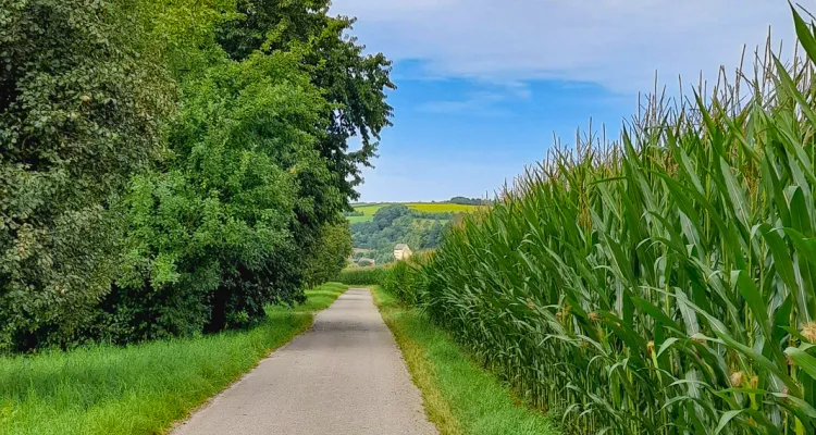 Pfad der Stille - Kocher-Jagst-Radweg