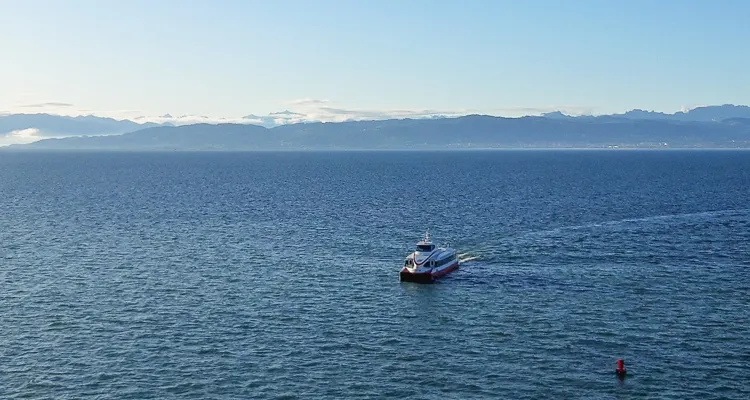 Katamaran auf dem See