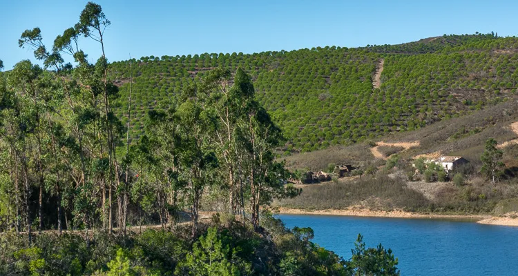 Barragem do Funcho